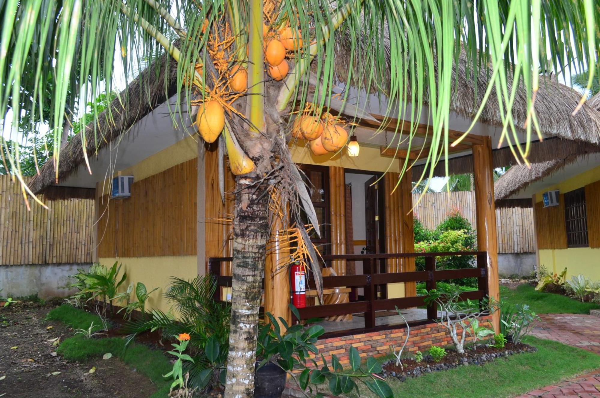 Veraneante Resort Panglao Cameră foto